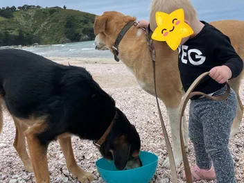 Dogs & Toddlers: Rosa's & Mac's Best Human Friend