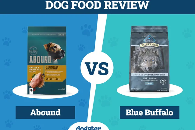 Abound vs Blue Buffalo Dog Food: Our 2026 In-Depth Comparison