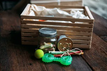 Subscription pet Box with Organic Treats Fun Toy and Bully Sticks