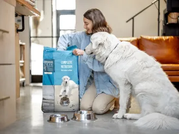How Long Will Dog Food Last? Vet-Approved Facts & FAQ
