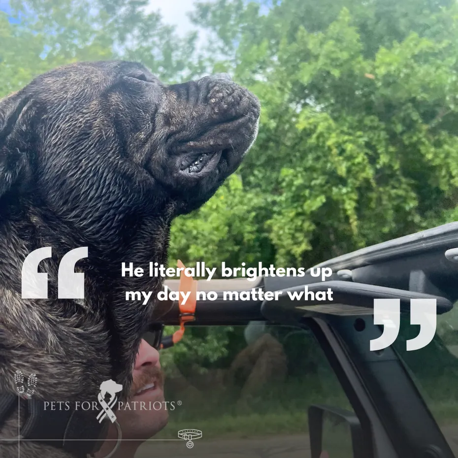 Brent and Toby - quote
