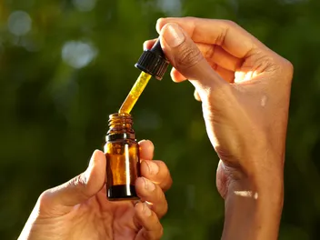 The Truth About Castor Oil and Dogs: What Vets Want You to Know
