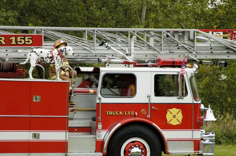 A fire department vehicle on display during a fire muster parade.