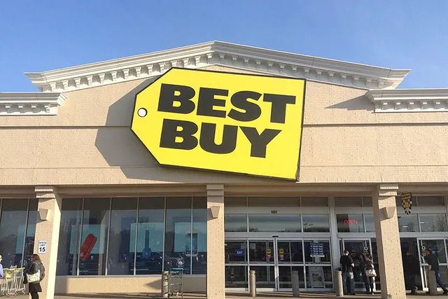 Are Dogs Allowed in Best Buy? 2026 Store Policy and Tips