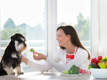 10 Foods With Vitamin C for Dogs: Vet Reviewed Nutrition Facts & Info