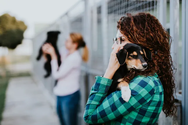 14 Organizations That Help With Vet Bills (2026 Update)