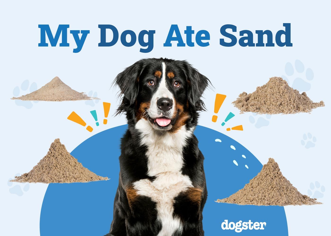 My Dog Ate Sand