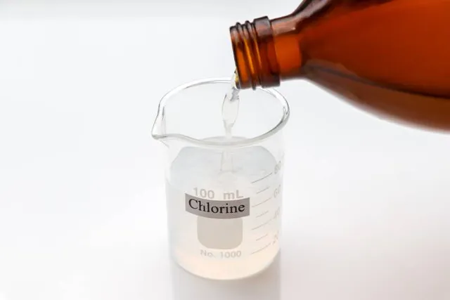Does Chlorine Kill Fleas? Vet Reviewed Effectiveness & Safety Tips