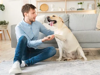 My Senior Dog Is Slipping on the Floor: 10 Vet-Approved Tips to Help