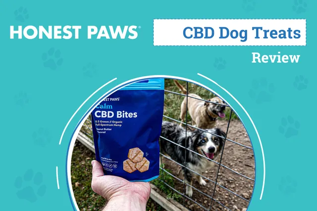 Honest Paws CBD Pet Products Review 2026: An Expert's Breakdown
