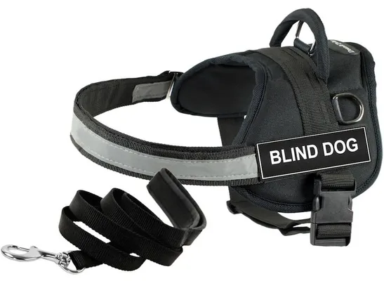 Dean and Tyler Blind Dog Harness &amp; Leash