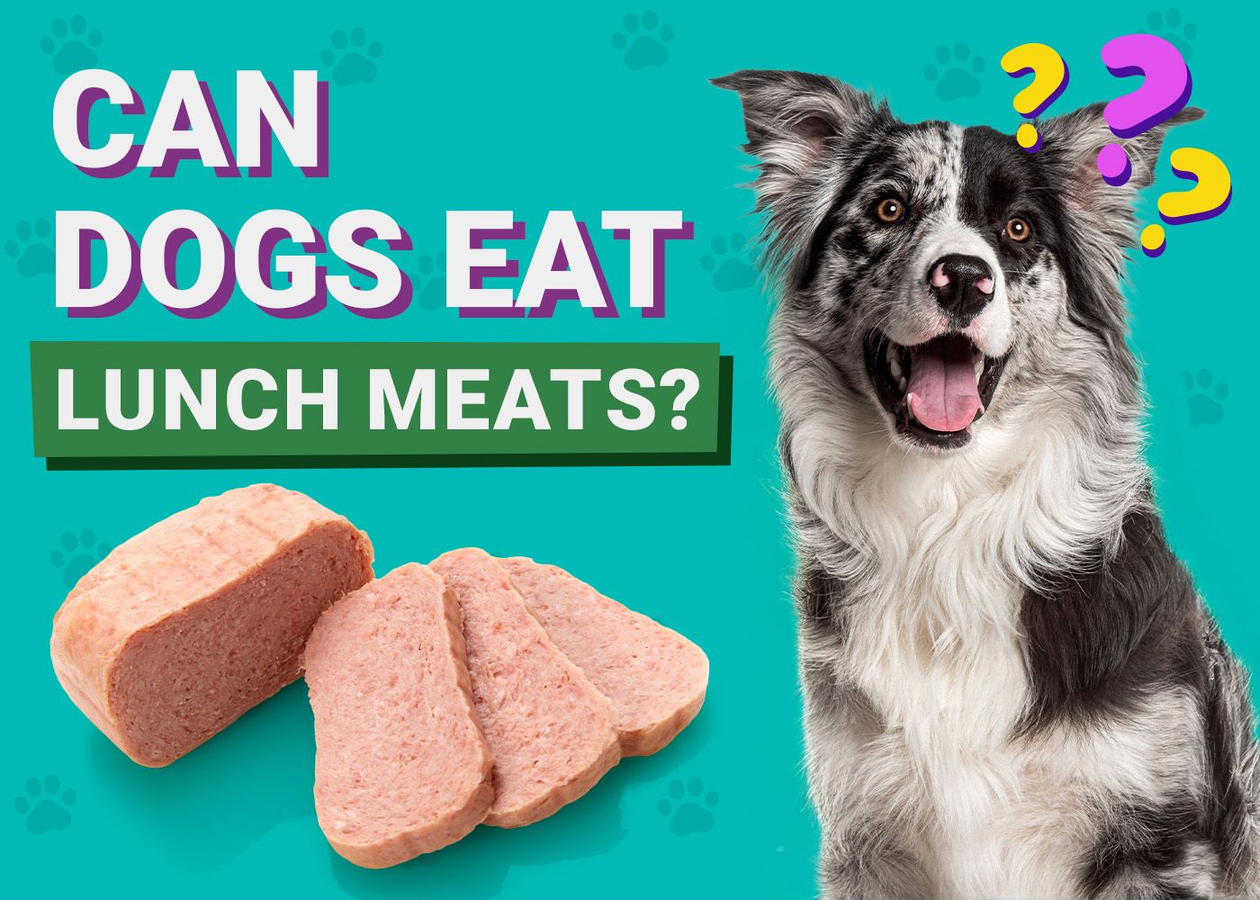 Can Dogs Eat_lunch meats