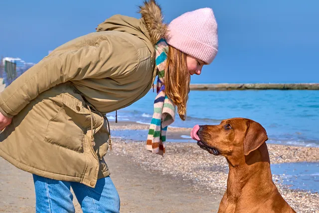 Do You Tip a Dog Walker, Pet Sitter, or Groomer? Here's the Standard