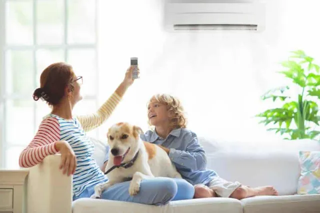 How to Cool Down a Dog: 10 Vet-Approved Tips
