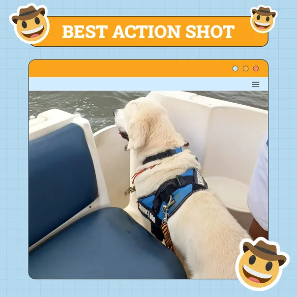 Best Action Shot Dog