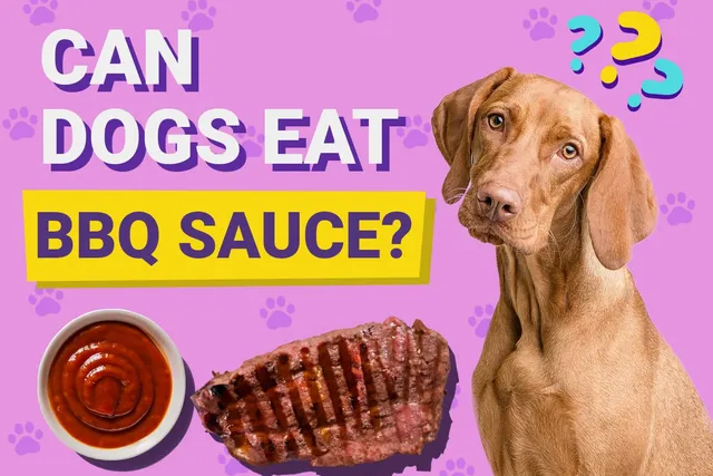 Can Dogs Eat BBQ Sauce? Vet-Verified Facts & FAQ