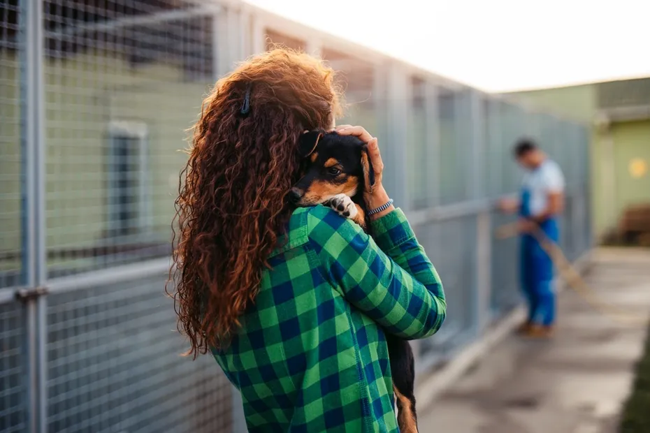woman-holding-adorable-dog-in-animal-shelter