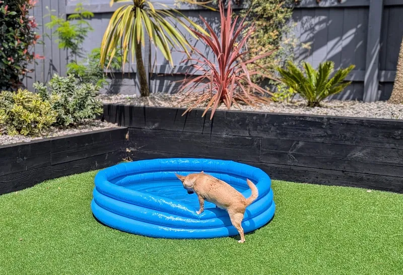 Fred dips a toe before eventually taking the plunge.