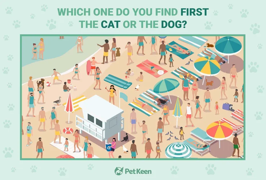 search-and-find puzzle - image 1