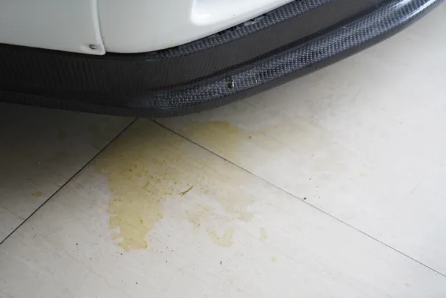 How to Get Dog Pee Smell Out of Concrete & Garages