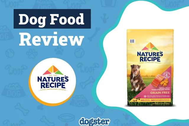 Nature’s Recipe Dog Food Review 2026: Recalls, Pros & Cons