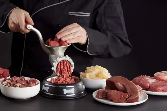 Is It Cheaper to Make Your Own Dog Food? Vet-Approved Facts & Advice