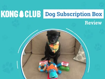 KONG Club Dog Subscription Box Review 2026: An Expert's Breakdown