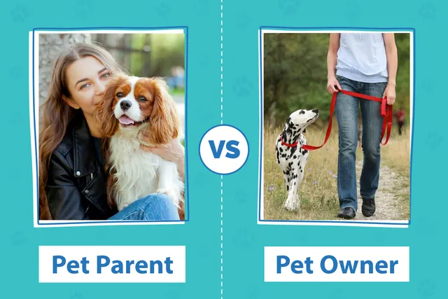 Pet Parent vs Pet Owner: What Do You Call Yourself & Your Dog?