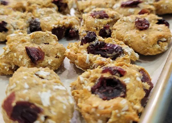 Easy Homemade Cranberry Dog Treats
