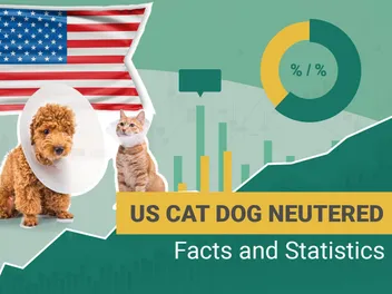 How Many Dogs and Cats Are Neutered in the US? 2026 Update
