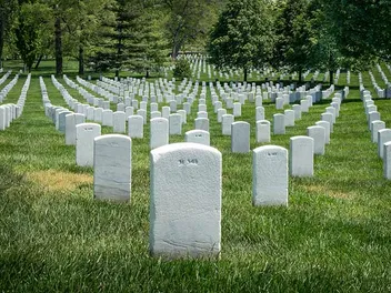 Are Dogs Allowed in Cemeteries? (2026 Update)