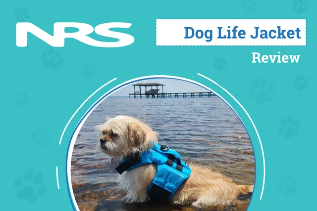 NRS CFD Dog Life Jacket Review 2026: An Expert’s Breakdown