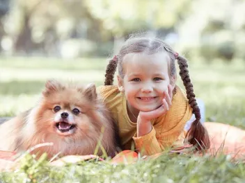 Will a Pomeranian Be Good With My Kids? Everything You Need to Know