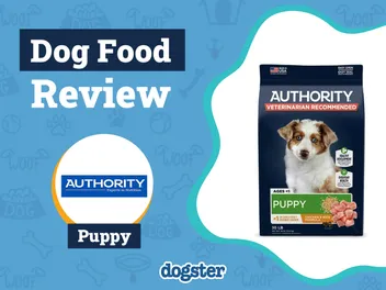 Authority Puppy Food Review 2026: Recalls, Pros & Cons