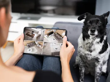 6 Best Dog Gadgets for Their Techie Owners in 2026 – Reviews & Top Picks