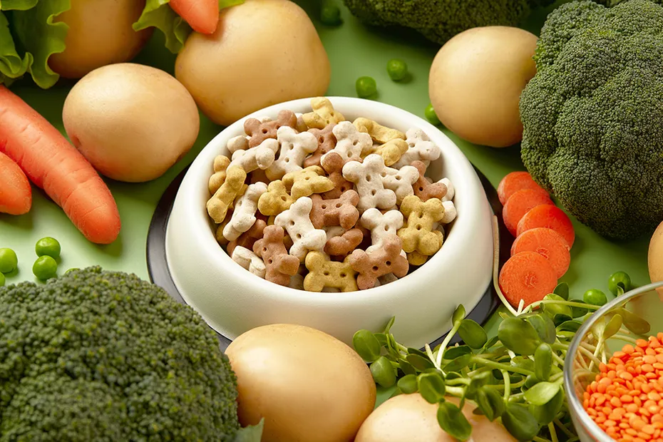 vegan dog food on pet bowl
