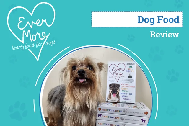 Evermore Dog Food Review 2026: Pros, Cons & Verdict: An Expert's Breakdown