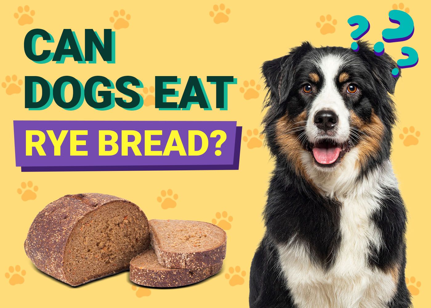 Can Dogs Eat Rye Bread