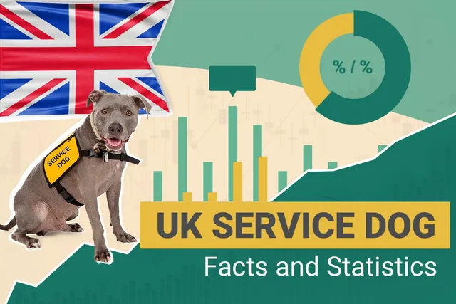 16 Remarkable UK Service Dog & Pet Therapy Statistics to Know in 2026