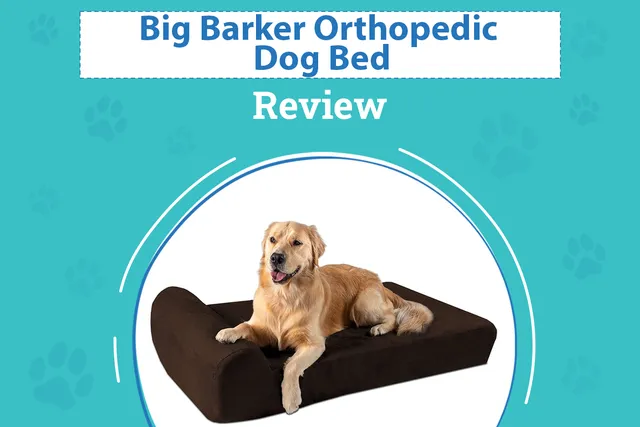 Big Barker Orthopedic Dog Bed Review in 2026: Pros, Cons & Verdict