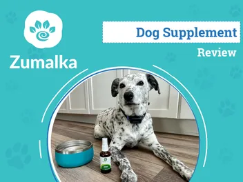Zumalka Piptopet Supplement Review 2026: An Expert's Breakdown