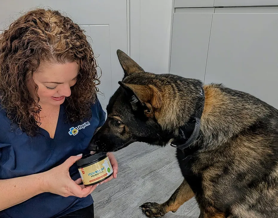 XCLUSIVE EXPOSÉ_ New Treatment for Canine Allergic and Atopic Dermatitis - But Who Really Benefits_ Karyn Kanowski with Kodah and Probiotics~2