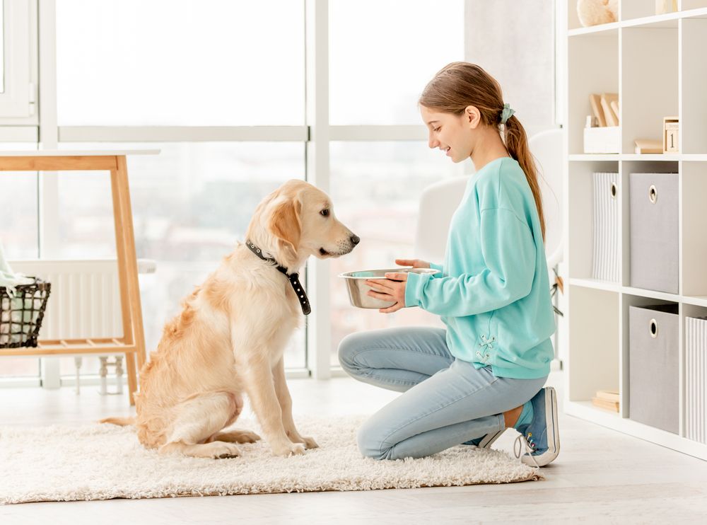 young girl feeding her pet dog