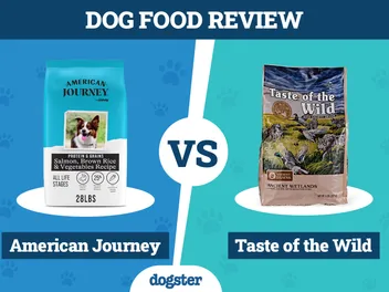 American Journey vs Taste of the Wild Dog Food: Our 2026 In-Depth Comparison