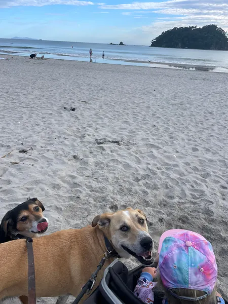 Happy to be at the beach!