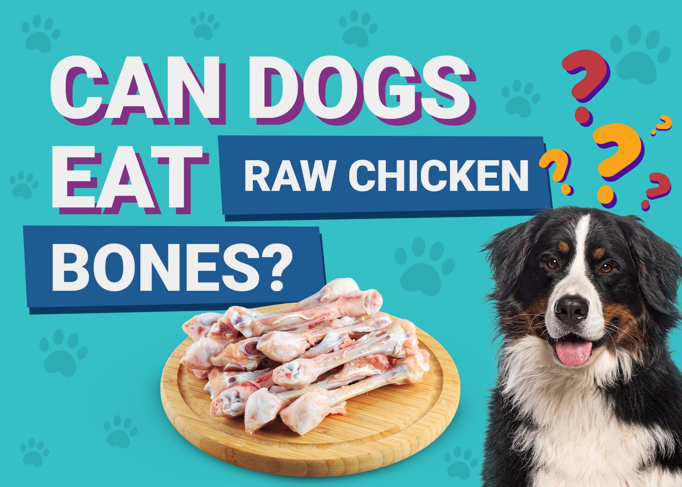 Can Dogs Eat Raw Chicken Bones? Our Vet Explains Nutrition Facts & Info