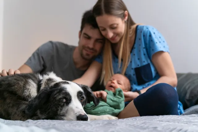 Do Dogs Get Jealous of Babies? Vet-Verified Facts & Prevention Tips