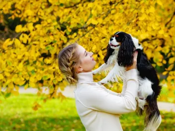 How Long Is Kennel Cough Contagious? (Vet Answer)