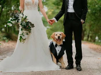 11 Dog-Friendly Wedding Venues in the US (2026 Guide)