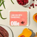 Ollie Lamb Dish With Cranberries